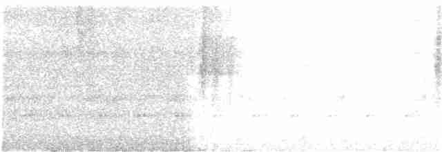Dreibinden-Ameisenvogel - ML209946751