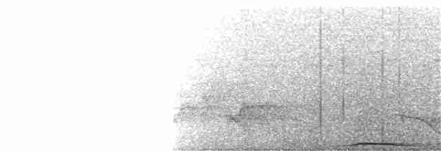 holub černobradý - ML209992801