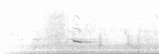 White-tailed Kite - ML210005521