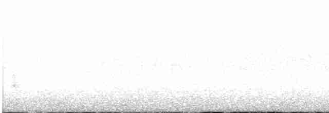 rødhaletropikkfugl - ML210027561