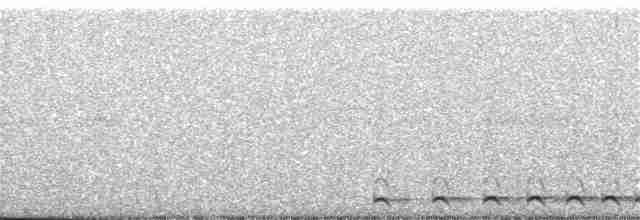 Western Screech-Owl - ML210105781