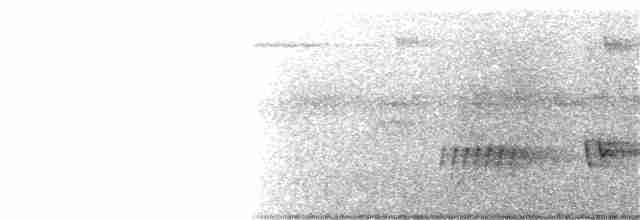 Trillerschneidervogel - ML210146201