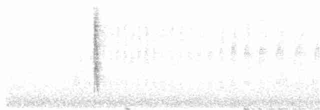 Колібрі-вилохвіст сальвадорський - ML21016451