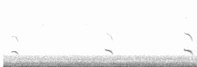 Fischadler - ML21019141