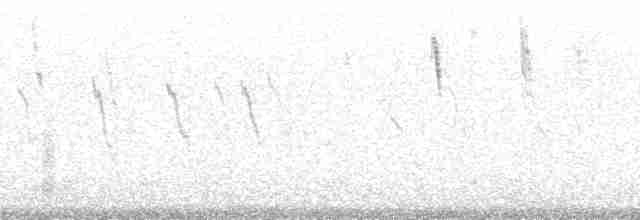 Вівсянчик сіроволий - ML210201