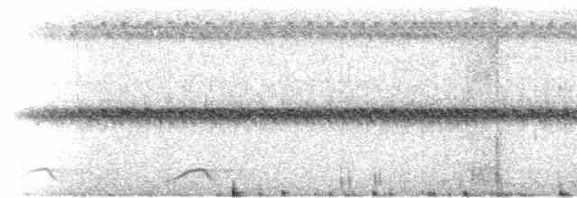 Ecuadornachtschwalbe - ML210272701