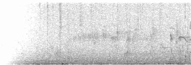 Інкавець сірий - ML210292481