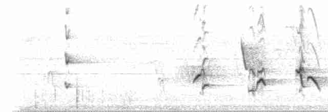 Picogrueso Dorsinegro (aureoventris) - ML210316