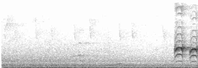 Яструб плямистохвостий - ML210317701