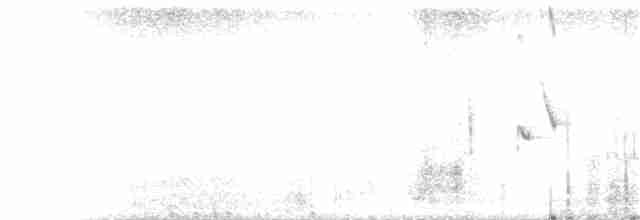 Карруский жаворонок - ML21032101