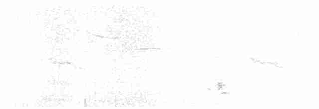 White-hooded Babbler - ML210327701
