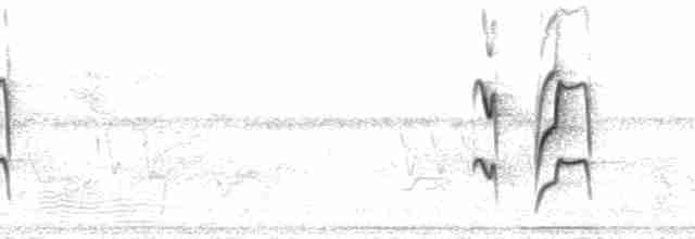 Graustirn-Dickichtschlüpfer - ML210342