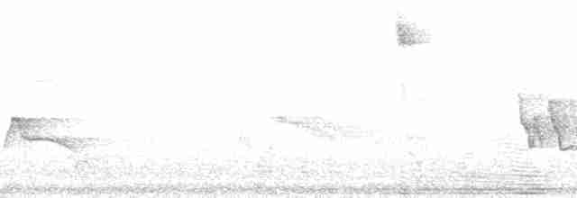 Turuncu Başlı Tangara - ML210347