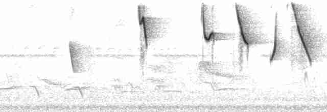 Turuncu Başlı Tangara - ML210348