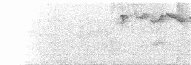 Hylocitrea (Northern) - ML210348481