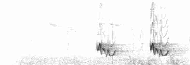 Ak Kaşlı Çıtkuşu - ML210360121