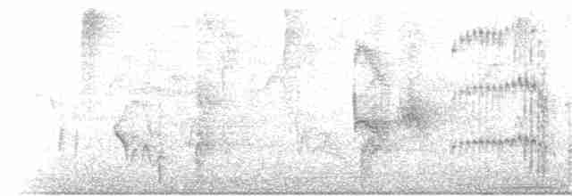 Тиранчик-тонкодзьоб південний - ML210360171
