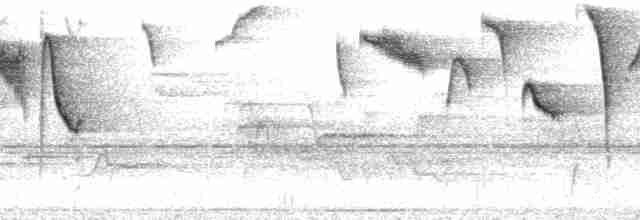 Ak Kaşlı Çalı Serçesi - ML210370