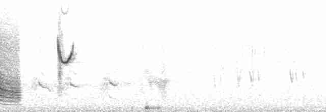 Патагонский пересмешник - ML210427