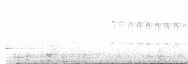 Karolina Çıtkuşu - ML210428331