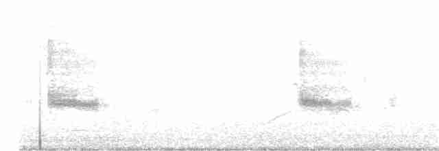 Американский сорокопут - ML210453621