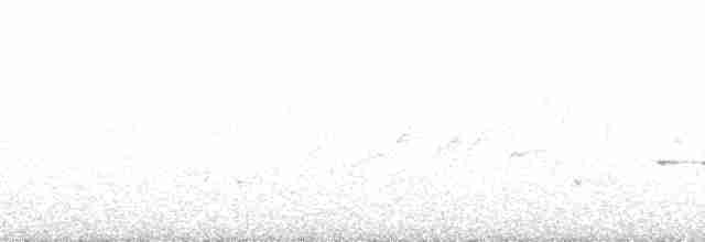 Изменчивый куравонг (versicolor/plumbea) - ML210647
