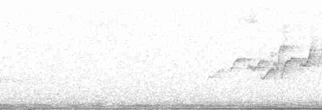 Изменчивый куравонг (versicolor/plumbea) - ML210648