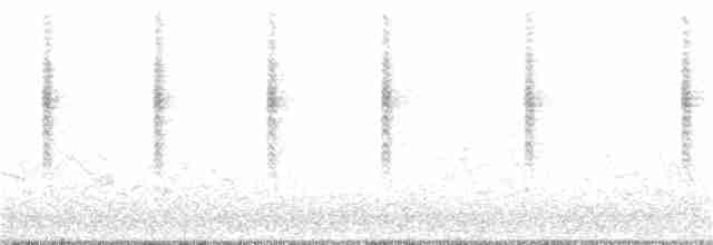 Цинантус синьогорлий - ML210694201
