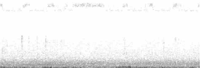White-tipped Dove - ML210789311