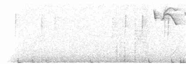hvitvingekjerrspurv (leucopterus/dresseri) - ML210808091
