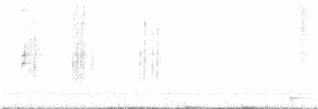 Spot-necked Babbler - ML211076381