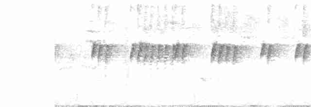 Мухолов-клинодзьоб сірий - ML211086171