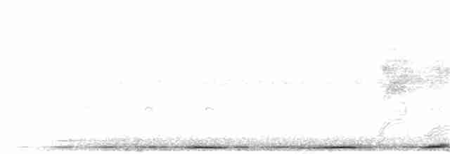 holub slézovoprsý - ML211151651