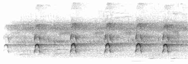 Turuncu Gagalı Boynuzgaga - ML211153021