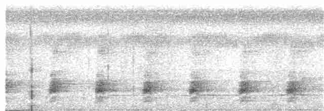 Пестроклювый арасари - ML211184461
