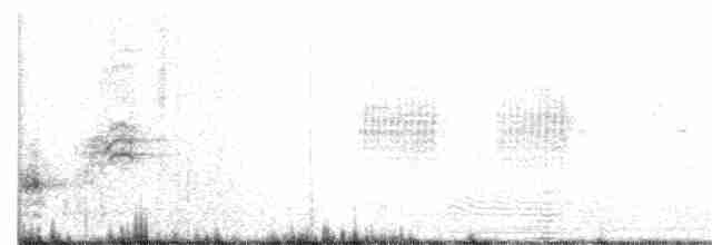 Clamorous Reed Warbler - ML211211961