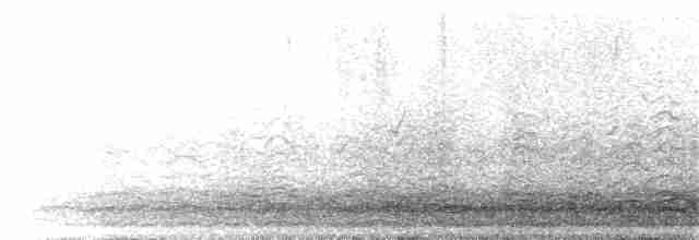 husa sněžní - ML211301651