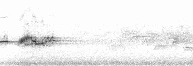 Münzevi Bülbül Ardıcı - ML21135