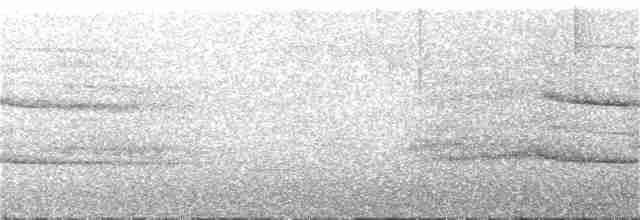 Белая агуйла (ghiesbreghti) - ML211352191