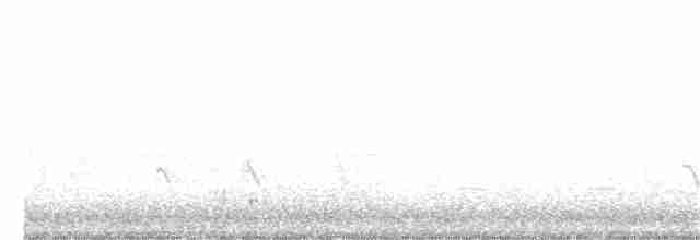 vlhovec červenokřídlý - ML211366681