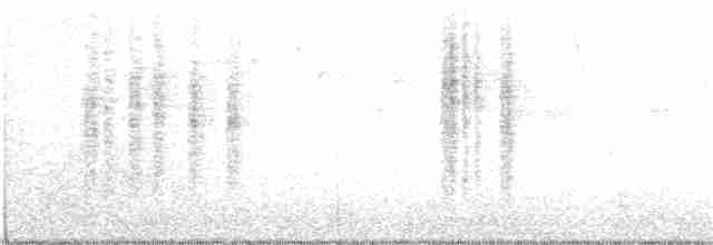 Speckled Warbler - ML211399651