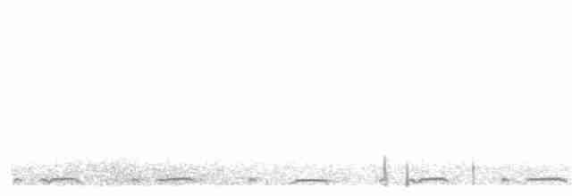 Серогрудый зобатый бегунок - ML21140171