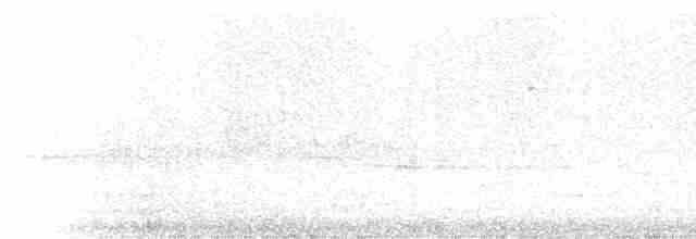 Пісняр-лісовик жовтогузий (підвид auduboni) - ML21141
