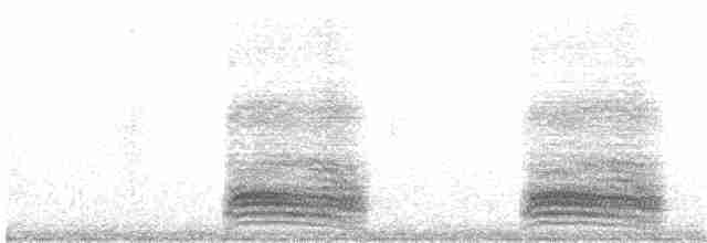 Kara Leş Kargası - ML211415021