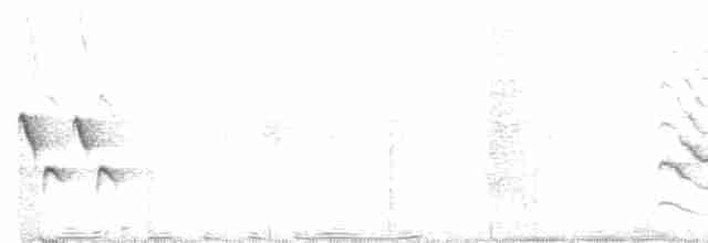 Zapata Çıtkuşu - ML211420021