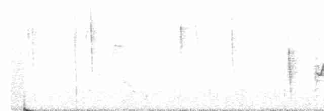 White-eyed Vireo (White-eyed) - ML211443791