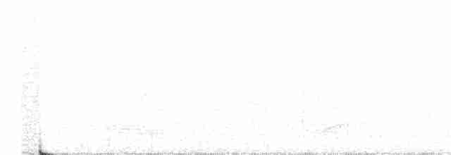Сероголовая перепелиная горлица - ML211447931