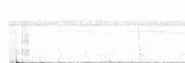 Кубинский амазон (leucocephala) - ML211449651