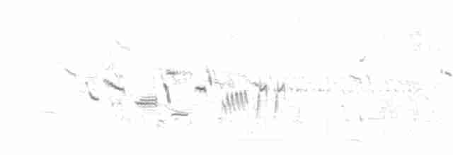 Uzun Gagalı Kervançulluğu - ML21147411