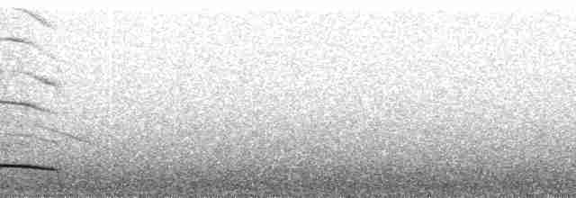 Kestane Başlı Yerçavuşu - ML211520